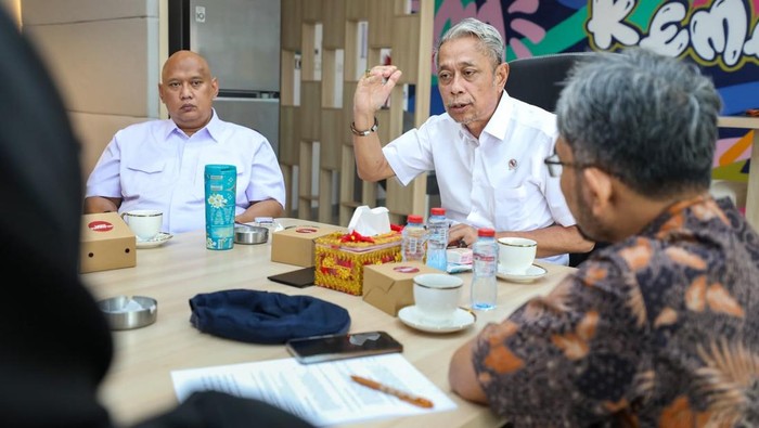 Wamensos Agus Jabo dan Legislator Yogyakarta Bahas Fleksibilitas DTSEN untuk Akurasi Data Daerah