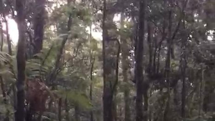 Pendaki Berbobot 145 Kg Alami Keram di Gunung Gede, Evakuasinya Dramatis