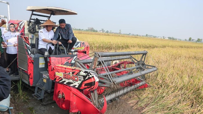 Ahmad Luthfi Sebut Produksi Padi Jawa Tengah Tembus 6,69 Juta Ton