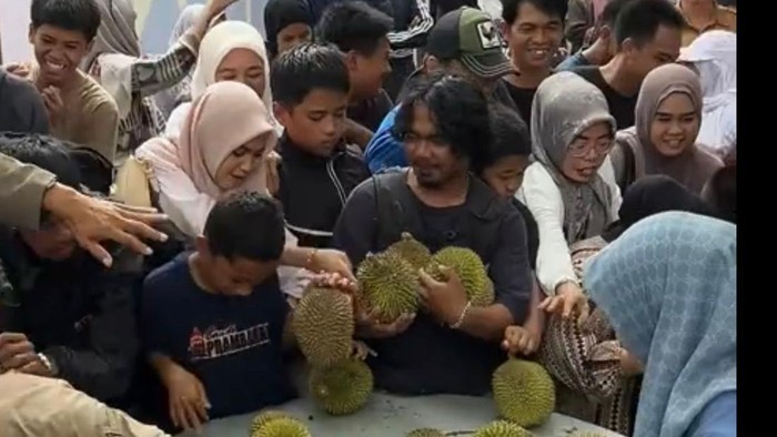 Festival Durian Enrekang Ricuh, Ratusan Pembeli Tiket Tak Kebagian Buah