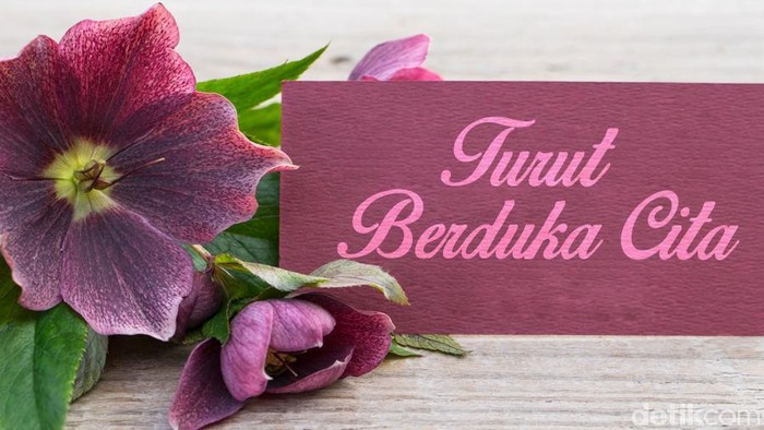 Innalillahi, Ayahanda Kepala Bakom M Qodari Berpulang, Sulaiman Said Meninggal Dunia