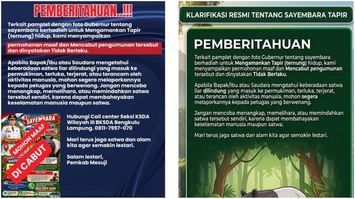 Sayembara Tangkap Tapir Hidup di Mesuji Resmi Dibatalkan