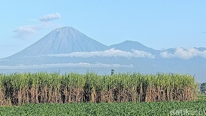 Jalur Pendakian Gunung Semeru Ditutup Sementara Mulai 7 Agustus untuk Hari Raya Karo
