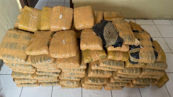Kecelakaan Lalu Lintas di Tapanuli Utara Ungkap Rencana Pengiriman 112 Kg Ganja