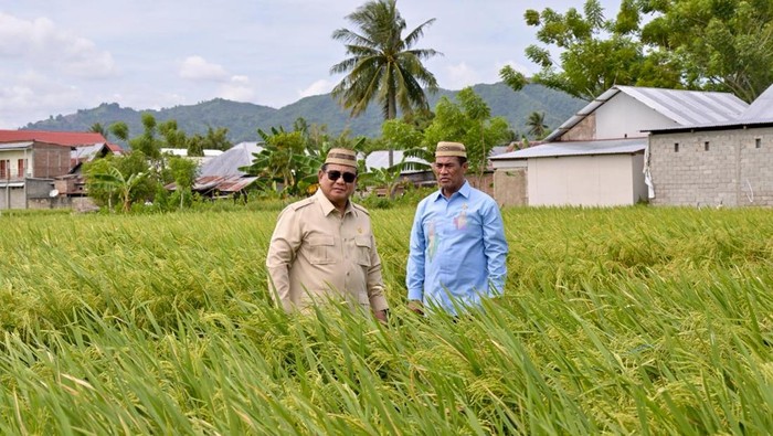 Prabowo Optimistis Indonesia Jadi Lumbung Padi Dunia Usai Tinjau Teknologi Budi Daya Modern di Gorontalo