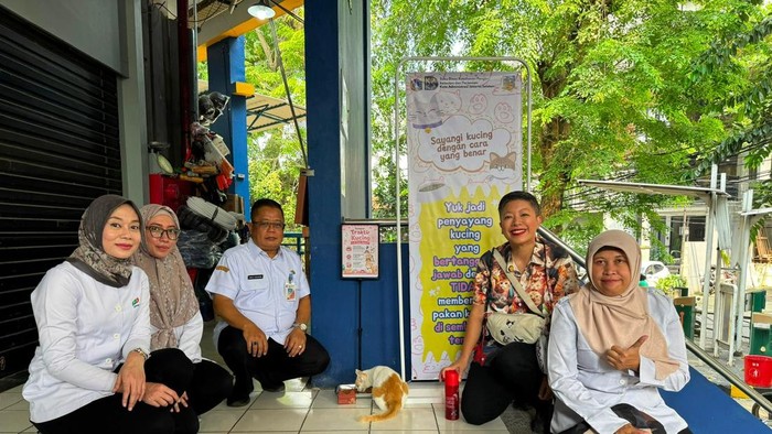 Pemprov DKI Jakarta Perluas Program ‘Traktir Kucing’ ke Pasar Santa, DPRD Apresiasi Langkah Ramah Hewan