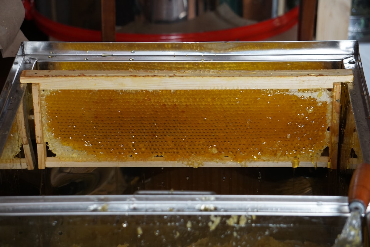 Natural, Washed, Honey: Tiga Metode Pengolahan Kopi yang Menentukan Cita Rasa Nusantara