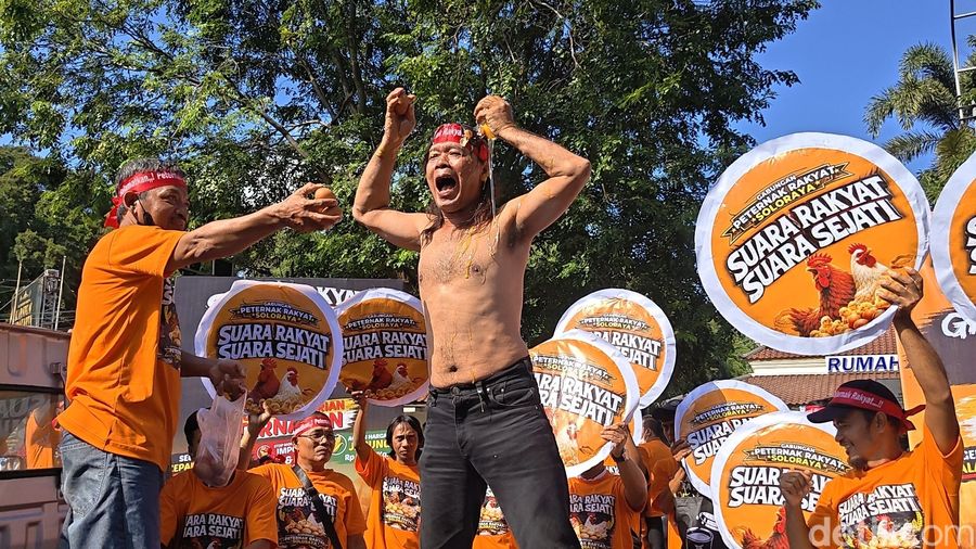 Momen Peternak Ayam Mandi Telur Protes Harga Ambruk-Pakan Mahal