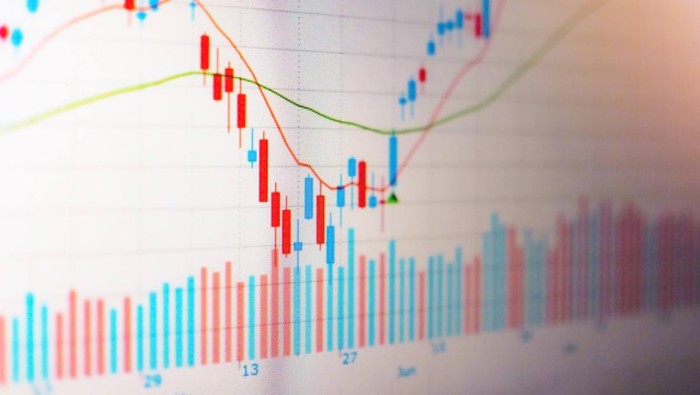 EMMI Bidik Dana IPO Rp 269 Miliar, MDKA Siapkan Private Placement dan BIRD Tebar Dividen