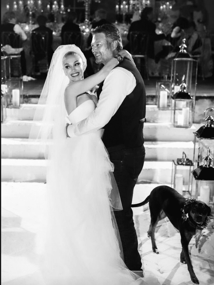 Gwen Stefani dan Blake Shelton Saling Luapkan Rasa Usai 5 Tahun Menikah