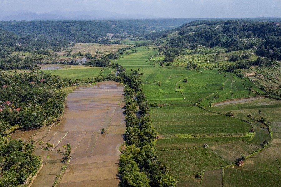 Pemerintah Percepat Penetapan LP2B di Ciamis, Lindungi Sawah dari Alih Fungsi