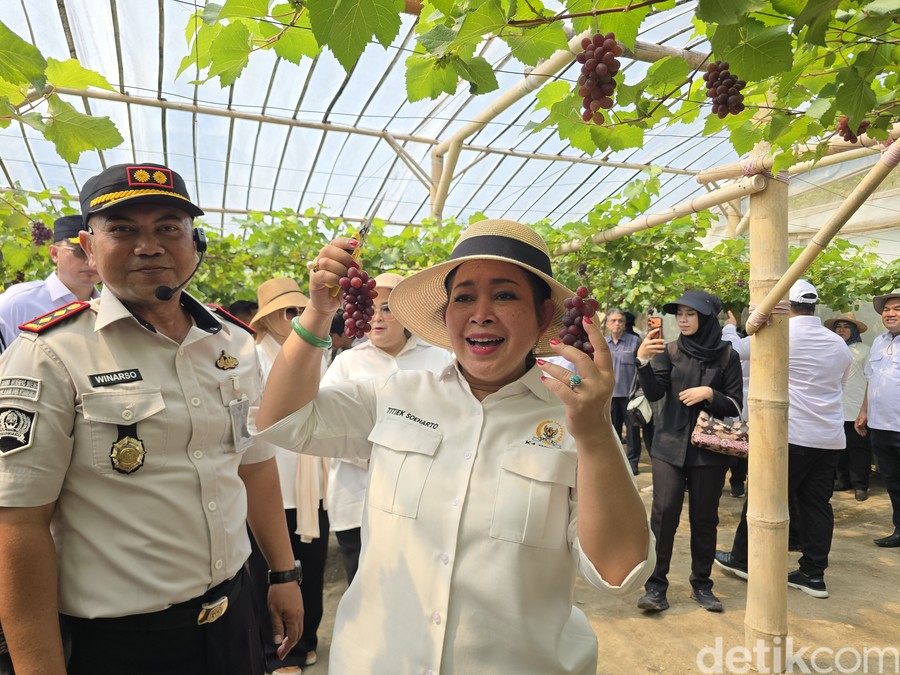 Titiek Soeharto Icip Anggur Rawatan Napi Nusakambangan: Enak, Manis