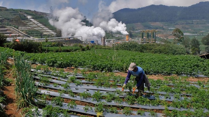 PLTP Dieng Unit 2 Mulai Dibangun, Segini Kapasitasnya