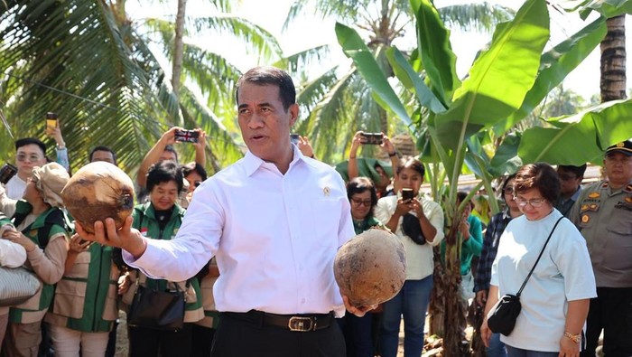 Muncul Anomali Harga Sawit, Mentan Surati Polri Minta Diusut