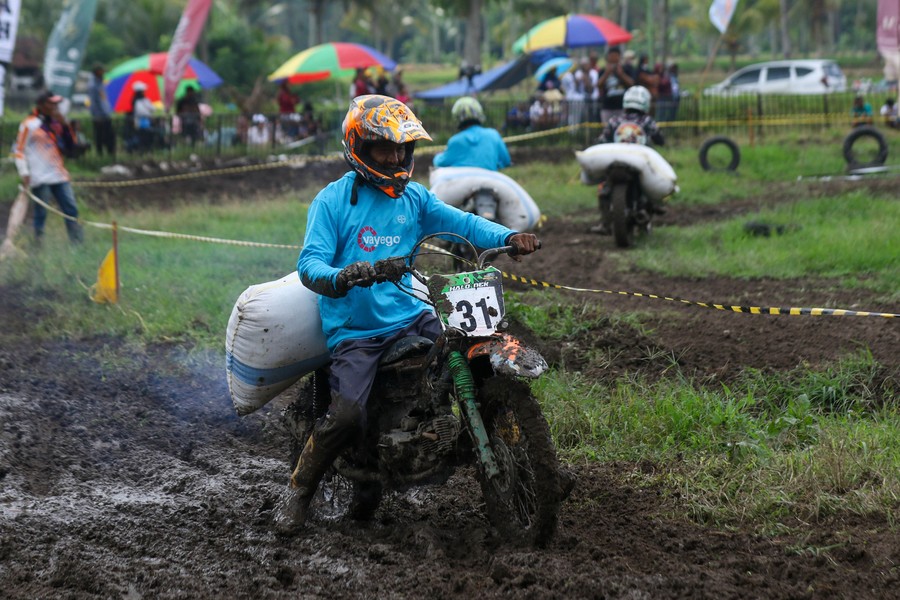 Serunya Balap Manol Gabah, Adu Cepat Buruh Angkut Hasil Panen di Banyuwangi