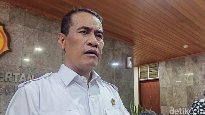 Harga Ayam-Telur Anjlok di Peternak, Bapanas Guyur Subsidi Jagung Pakan