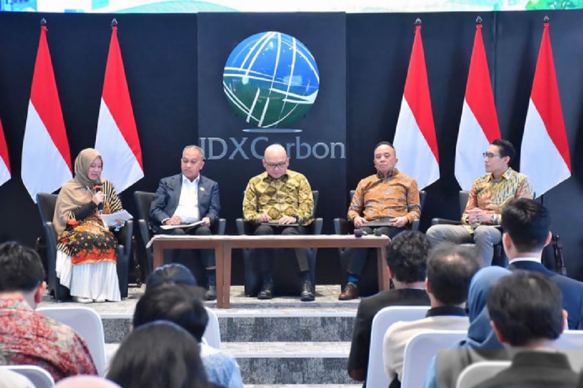 Pemerintah Luncurkan Sistem Registri Unit Karbon Perkuat Pasar Nasional