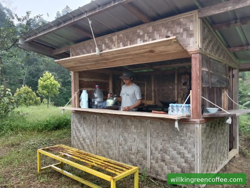 Dari Ladang ke Gudang Quality Control Ketat Willkin Green Coffee